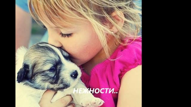 Мой фильм ГАЛЯ смотреть онлайн