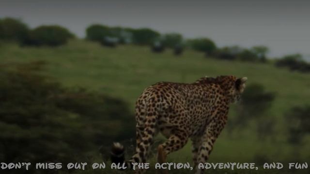 Disney+ Brand Storytelling Video смотреть онлайн