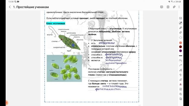 Простейшие смотреть онлайн