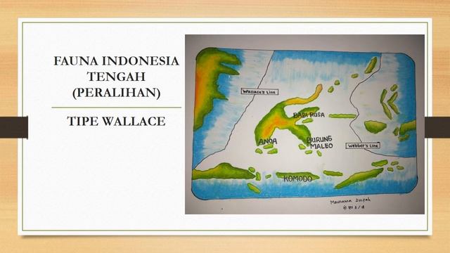 PERSEBARAN FLORA DAN FAUNA DI INDONESIA смотреть онлайн