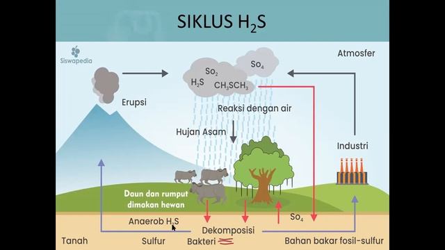 SUMBER DAN METODE ANALISIS NH3, NO2, NO3, H2S, PO4 DI PERAIRAN BUDIDAYA смотреть онлайн