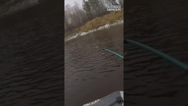 Что смогут «ПРЕСТАРЕЛЫЕ» снасти?) Ловим спиннингом и катушкой из СССР. Только в #снастиздрасьте смотреть онлайн