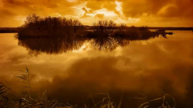 William Walton: Piano Quartet in D minor (1918/1921, rev. 1974) (3/3) смотреть онлайн