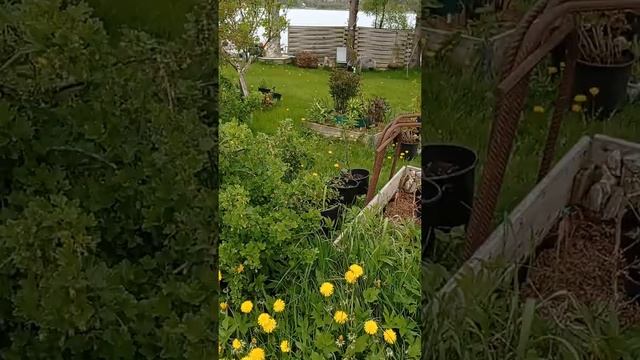 Участок отавоеванный у луга хотят забрать под луг. смотреть онлайн