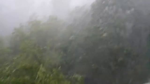 сила природы 1 смотреть онлайн