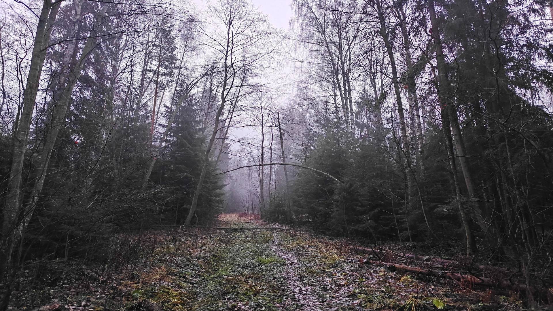 2024-11-10_13км-Ушаки_1