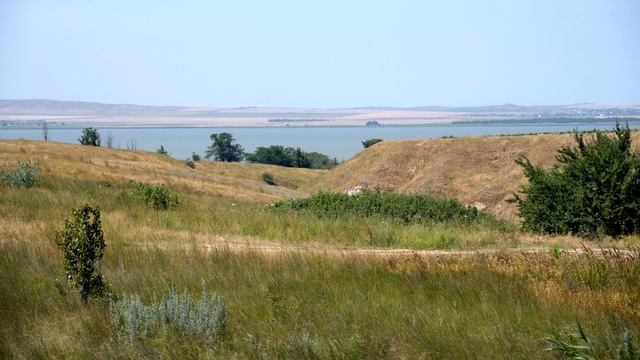 Зозулинка да луговая смотреть онлайн