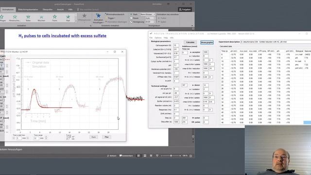 Simulating vectorial proton translocation coupled to H2 oxidation with sulfate (reductant pulse) смотреть онлайн