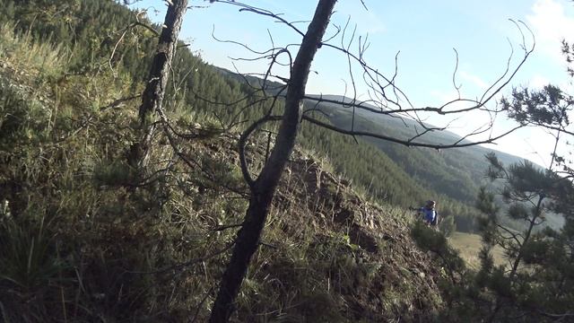 MAH00913 смотреть онлайн
