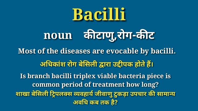 Bacilli meaning in hindi | bacilli ka matlab kya hota hai | word meaning in hindi смотреть онлайн
