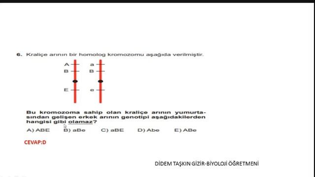 27 - Kalıtımla ilgili Soru Çözümü смотреть онлайн