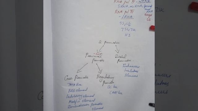 Transcription In Eukaryotes | Introduction | Proteins and Enzymes | In MALAYALAM смотреть онлайн