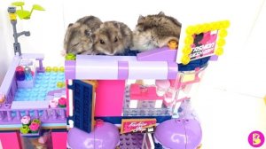 ХОМЯЧКИ в ХОМОЛЕНДЕ**ПЕЧЕНЮШКА НЯНЯ для МАЛЫШЕЙ