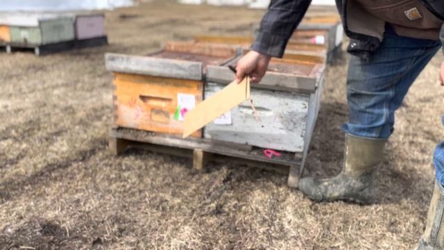 The wages of science: Early trial results. смотреть онлайн