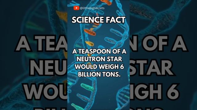 A teaspoon of a neutron star would weigh 6 billion tons. More amazing facts with @littlebigsecrets смотреть онлайн