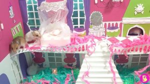 ТО ЧУВСТВО**КОГДА ТЫ МАМА ХОМЯЧОК** БУМАЖНОЕ ПАТИ