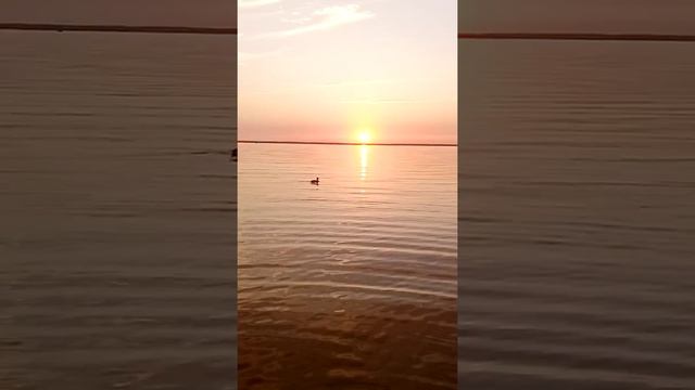 Закат на Плещеевом озере смотреть онлайн