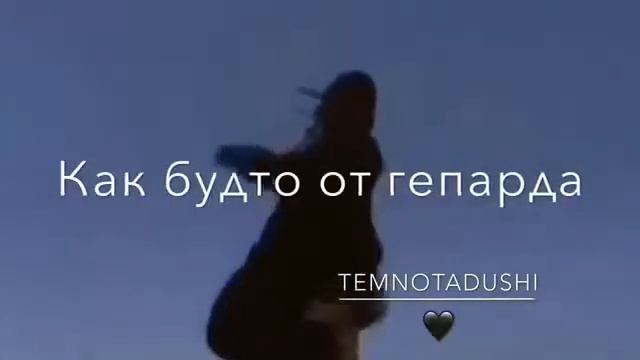 Панда😍🔥 смотреть онлайн