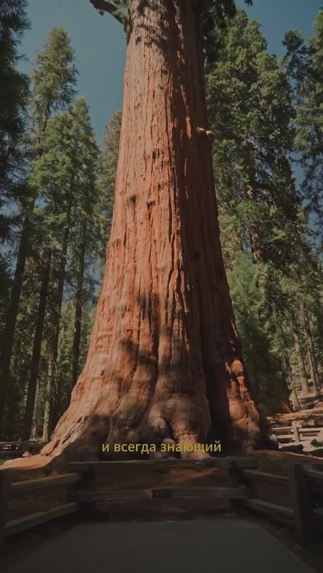 Алхимия отношений мужчины и женщины