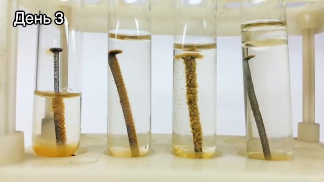 Наука и жизнь