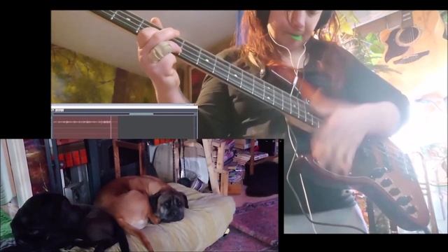 Not real Shadows 18042024 Holopainen #bass #trumpet #guitar #piano #saxophone #baritone #harmonica смотреть онлайн
