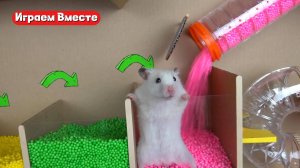 Лабиринт и бассейн с шариками для Хомяка !