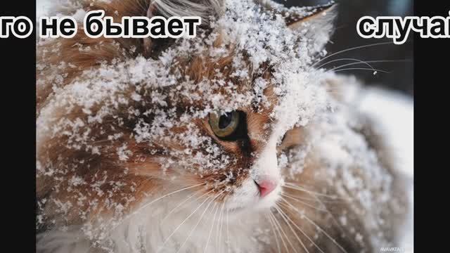 Случай на дороге смотреть онлайн