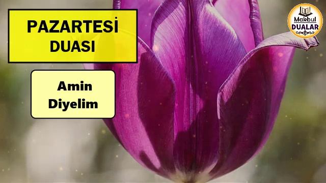 PAZARTESİ DUASINI DİNLEYELİM En Faziletli Dualar смотреть онлайн