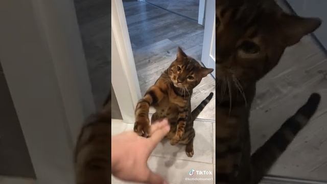 Download (2) смотреть онлайн