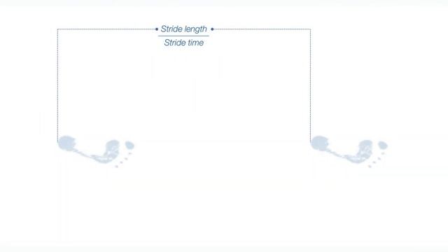 Born to Run 2 | The Biomechanics of Human Locomotion смотреть онлайн