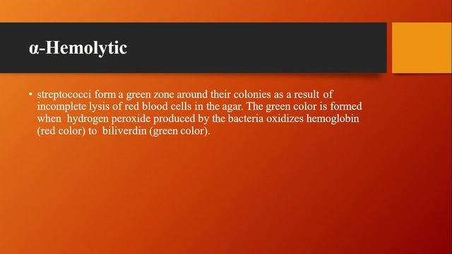 Microbiology- Streptococcus species смотреть онлайн