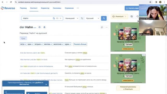 5 класс Немецкий Практика Датива и Аккузатива в историях Словарная Игра Животные смотреть онлайн