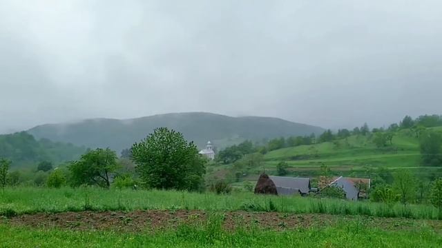 Туман яром, туман долыною смотреть онлайн