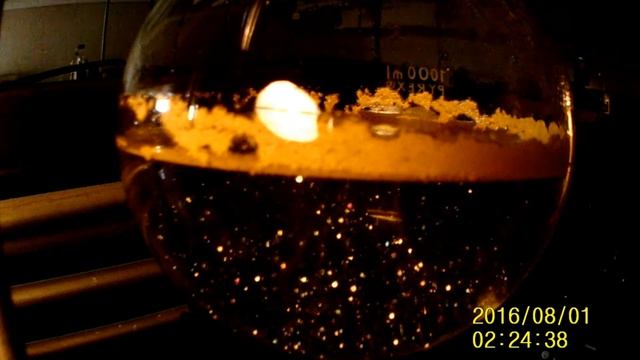 Golden Rain