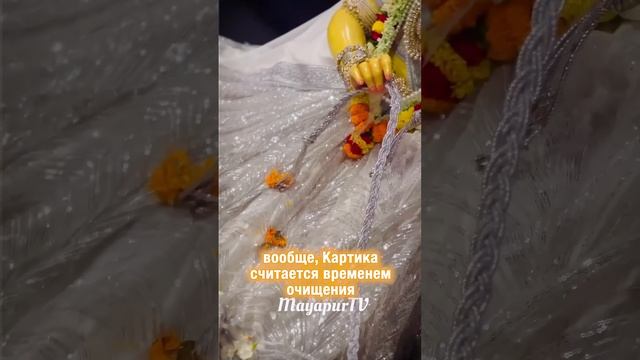 ПОДНОШЕНИЯ ДЛЯ БОЖЕСТВ В МАЯПУРЕ 🔥🪔 смотреть онлайн