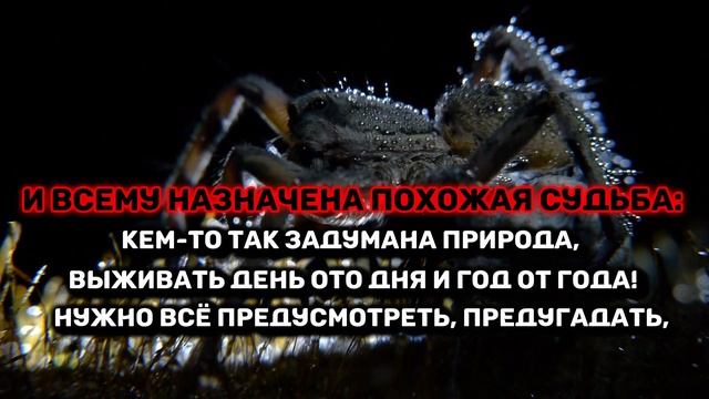 «БЕЗ РЕЗКИХ ПОВОРОТОВ» смотреть онлайн