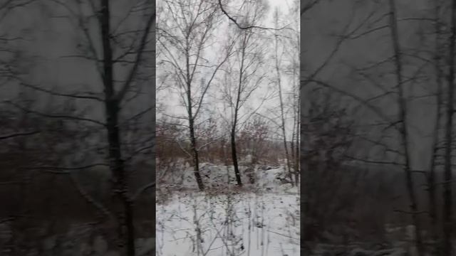 Я тут проходил 1000 раз и только сейчас заметил как тут красиво. Смоленск зимой. смотреть онлайн