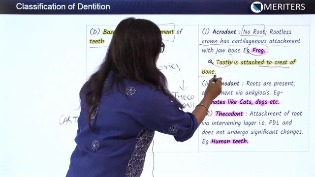 Dental Anatomy - Physiological form of tooth & periodontium - Classification of Dentition смотреть онлайн