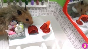 ХОМЯЧКИ В МИНИ ПАРИКМАХЕРСКОЙ** СМОЖЕТ ЛИ СНЕЖКА СТЕПАНОВНА УГОВОРИТЬ ЗЮМУ ПОДСТРИЧЬСЯ?