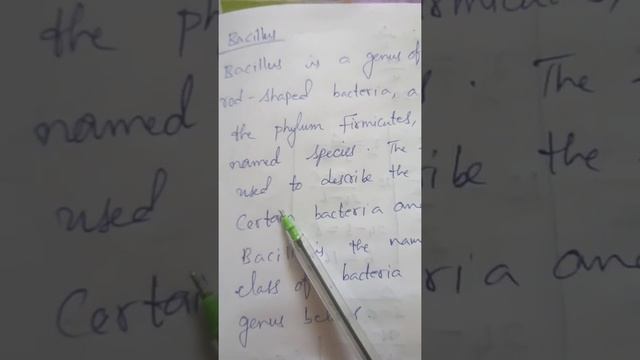 174. Bacillus смотреть онлайн