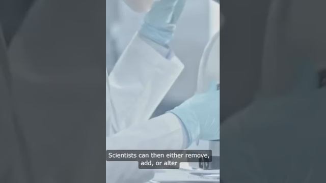 Editing GENES?! The Shocking Power of CRISPR! смотреть онлайн