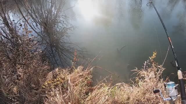 Спиннинг что надо - сломал дерево, супер-плетёнка, щучий тройник и мордушка 18.10.2023 г. смотреть онлайн