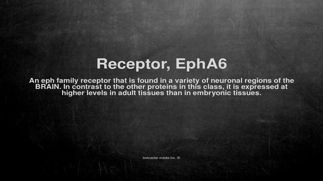Medical vocabulary: What does Receptor, EphA6 mean смотреть онлайн