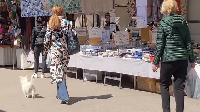 Итальянский рынок: находки ! Padova