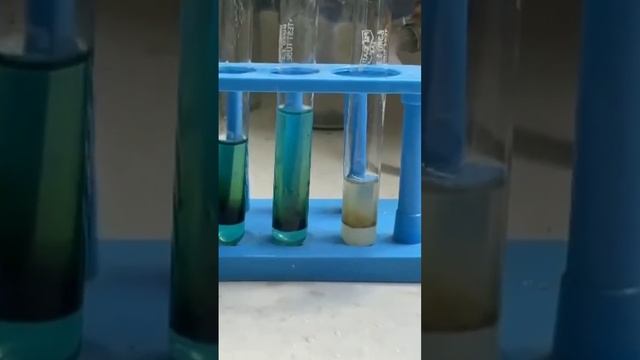Brown Ring Test for Nitrate ion. #chemistry смотреть онлайн