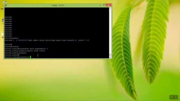 Link Aggregation Control Protocol (LACP) configuration in BDCOM Switches