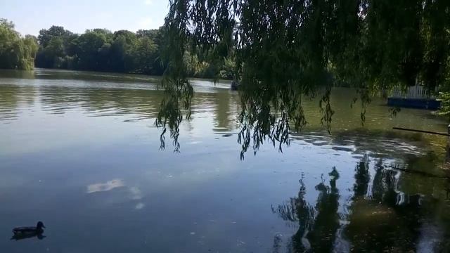 Умань парк Софиевка. смотреть онлайн