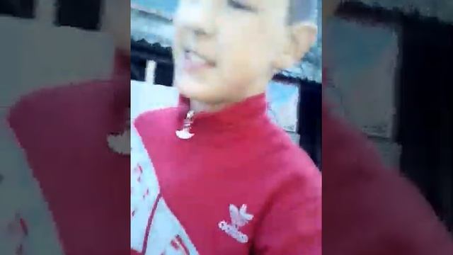 Пистоны и пестик