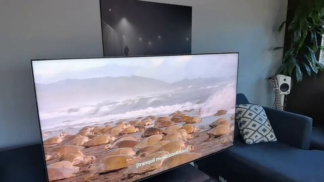 Samsung Neo QLED 8K TV review смотреть онлайн