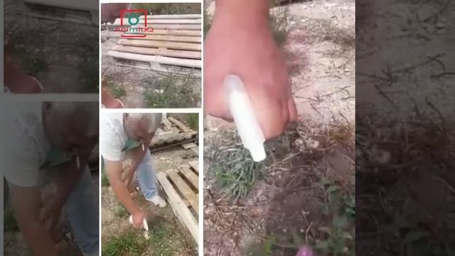 Herbicida ecológico, 100% natural!… смотреть онлайн